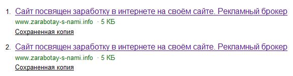 В индексе Яндекса появилось два экземпляра главной страницы, а внутренних нет. 